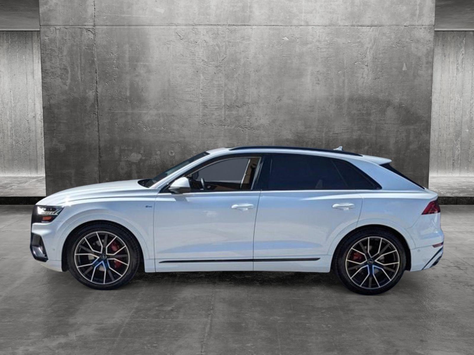 2020 Audi Q8 Vehicle Photo in Tampa, FL 33614