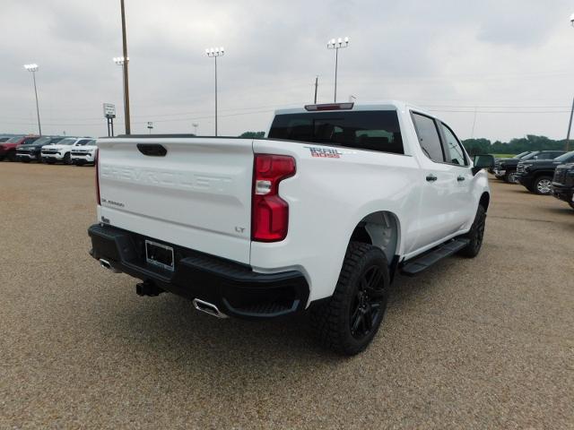 2024 Chevrolet Silverado 1500 Vehicle Photo in GATESVILLE, TX 76528-2745