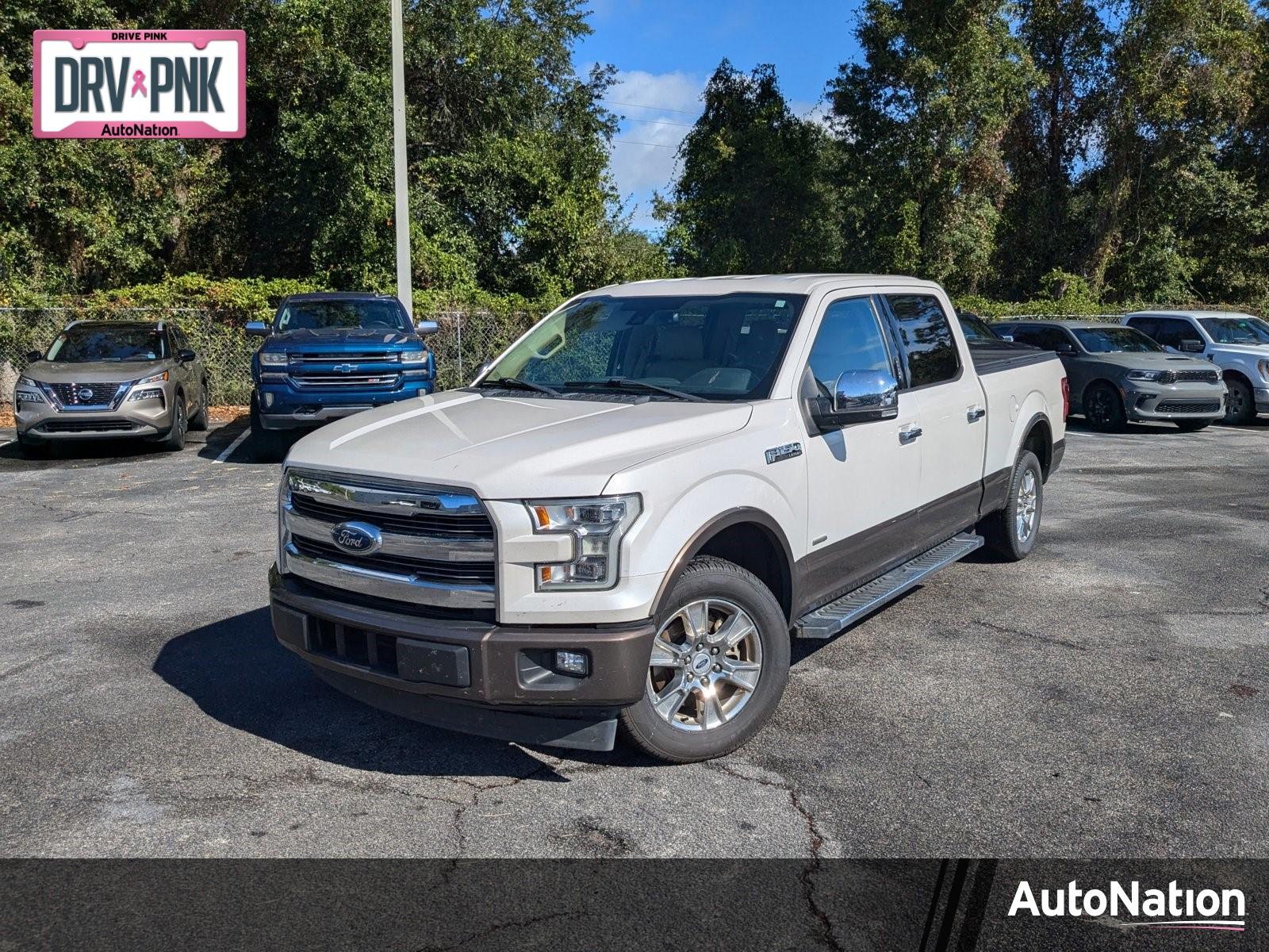 2017 Ford F-150 Vehicle Photo in Panama City, FL 32401