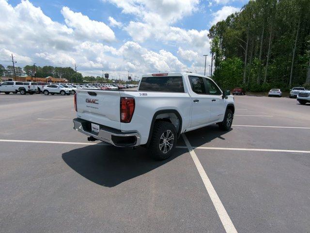 2024 GMC Sierra 1500 Vehicle Photo in ALBERTVILLE, AL 35950-0246