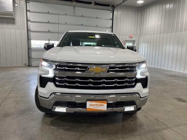 2023 Chevrolet Silverado 1500 Vehicle Photo in GLENWOOD, MN 56334-1123