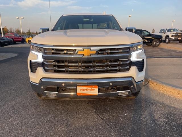 2025 Chevrolet Silverado 1500 Vehicle Photo in GLENWOOD, MN 56334-1123