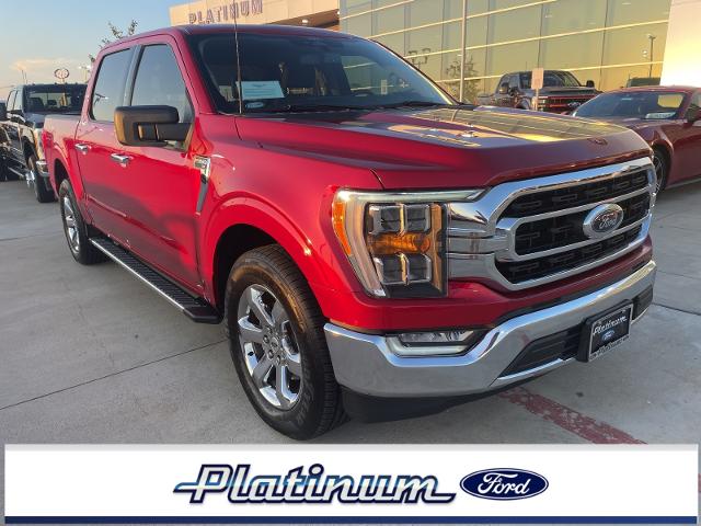 2022 Ford F-150 Vehicle Photo in Terrell, TX 75160