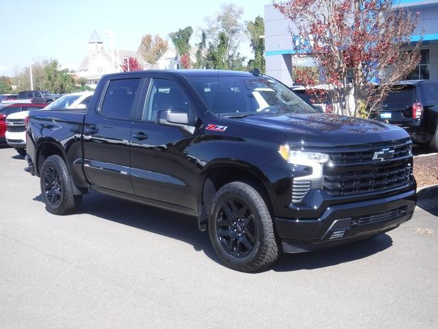 2024 Chevrolet Silverado 1500 Vehicle Photo in JASPER, GA 30143-8655