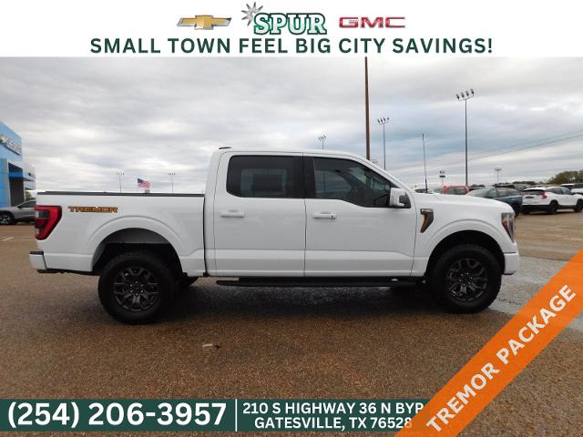 2023 Ford F-150 Vehicle Photo in GATESVILLE, TX 76528-2745