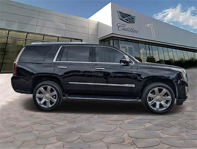 2019 Cadillac Escalade Vehicle Photo in LITTLETON, CO 80124-2754