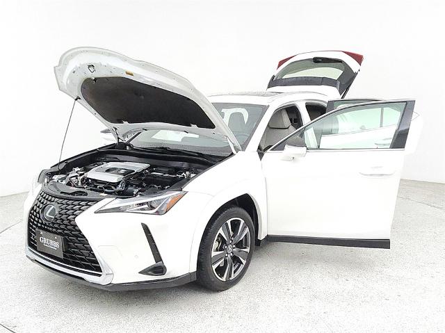 2022 Lexus UX 200 Vehicle Photo in Grapevine, TX 76051