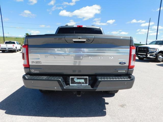 2022 Ford F-150 Vehicle Photo in Gatesville, TX 76528