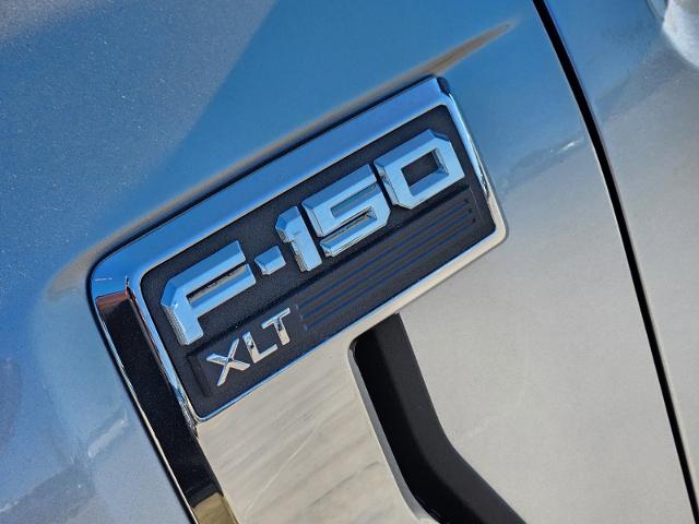 2024 Ford F-150 Vehicle Photo in STEPHENVILLE, TX 76401-3713