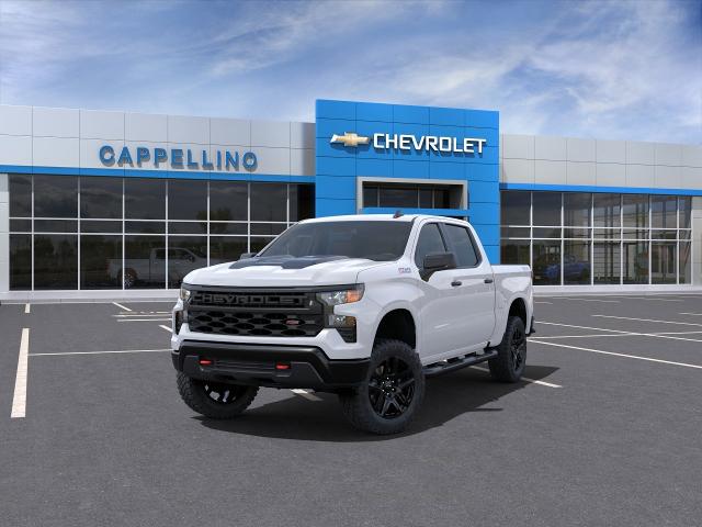 2024 Chevrolet Silverado 1500 Vehicle Photo in BOSTON, NY 14025-9684