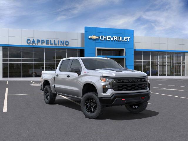 2024 Chevrolet Silverado 1500 Vehicle Photo in BOSTON, NY 14025-9684