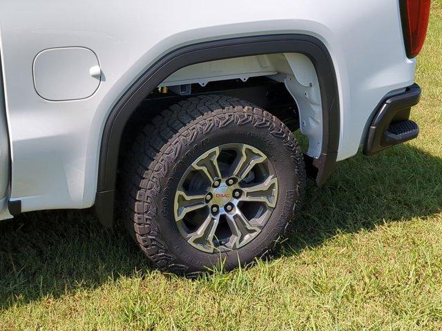 2024 GMC Sierra 1500 Vehicle Photo in ALBERTVILLE, AL 35950-0246