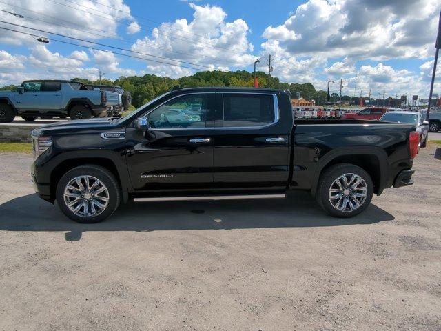 2024 GMC Sierra 1500 Vehicle Photo in ALBERTVILLE, AL 35950-0246