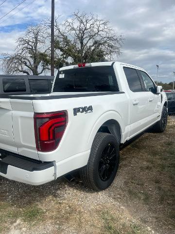 2024 Ford F-150 Vehicle Photo in STEPHENVILLE, TX 76401-3713