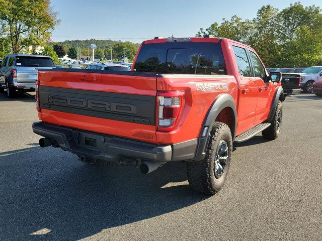 2021 Ford F-150 Vehicle Photo in Boyertown, PA 19512