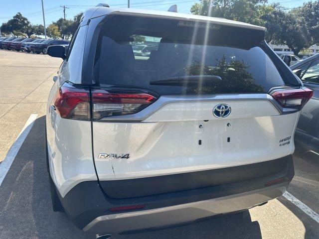 2024 Toyota RAV4 Vehicle Photo in DALLAS, TX 75209