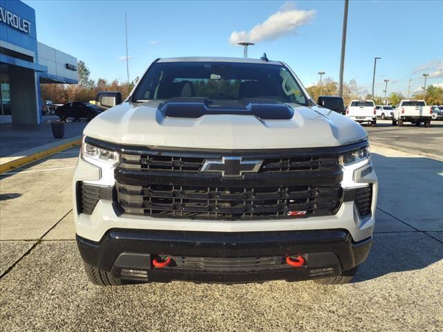 2024 Chevrolet Silverado 1500 Vehicle Photo in ROXBORO, NC 27573-6143