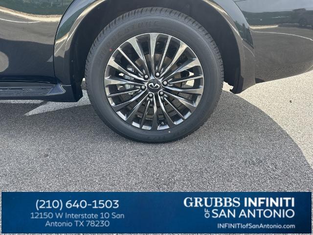 2024 INFINITI QX80 Vehicle Photo in San Antonio, TX 78230