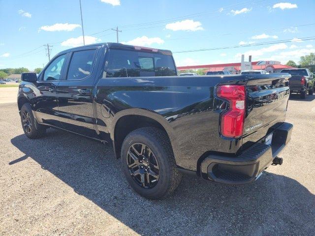 2024 Chevrolet Silverado 1500 Vehicle Photo in SAUK CITY, WI 53583-1301