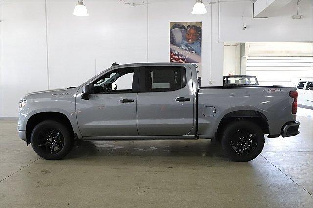 2025 Chevrolet Silverado 1500 Vehicle Photo in MEDINA, OH 44256-9001