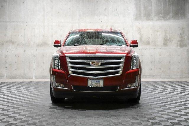 2019 Cadillac Escalade Vehicle Photo in EVERETT, WA 98203-5662