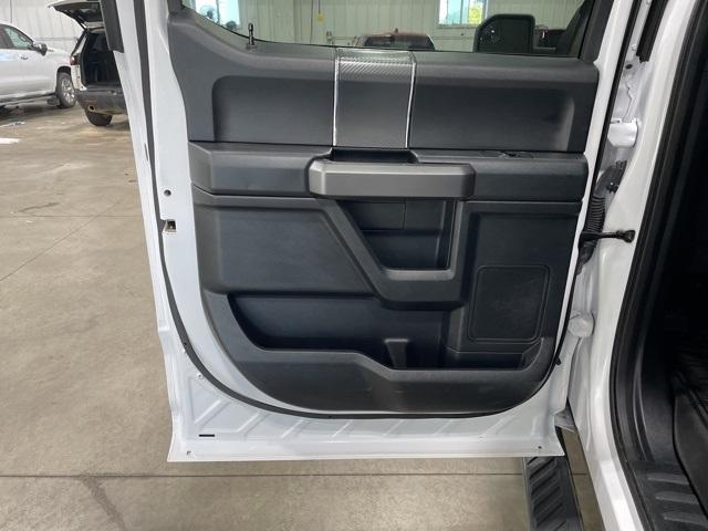 2020 Ford F-150 Vehicle Photo in GLENWOOD, MN 56334-1123