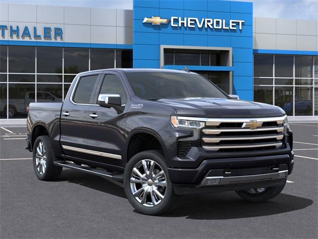 2024 Chevrolet Silverado 1500 Vehicle Photo in GLENWOOD, MN 56334-1123