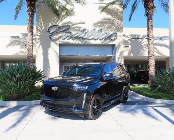 2024 Cadillac Escalade Vehicle Photo in DELRAY BEACH, FL 33483-3294