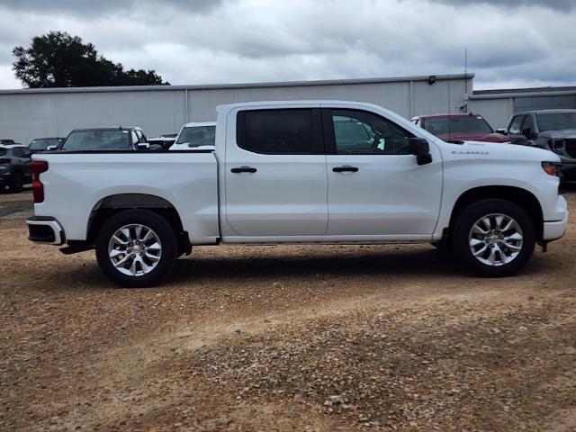 2024 Chevrolet Silverado 1500 Vehicle Photo in PARIS, TX 75460-2116