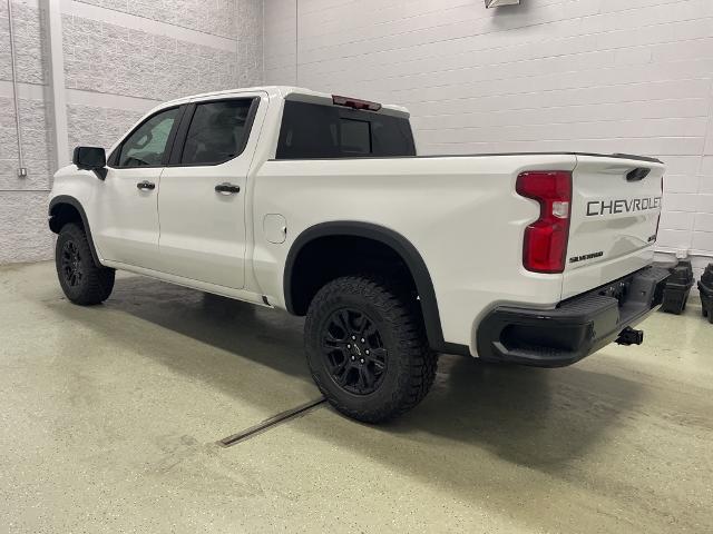 2025 Chevrolet Silverado 1500 Vehicle Photo in ROGERS, MN 55374-9422