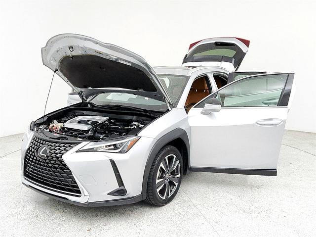 2019 Lexus UX 200 Vehicle Photo in Grapevine, TX 76051