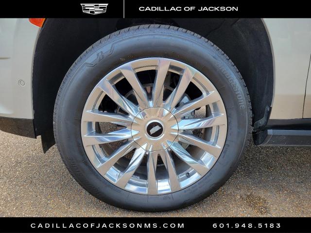 2021 Cadillac Escalade ESV Vehicle Photo in RIDGELAND, MS 39157-4406