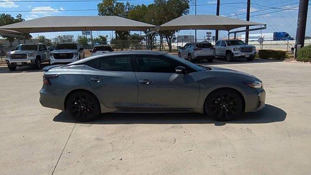 2019 Nissan Maxima Vehicle Photo in SELMA, TX 78154-1460