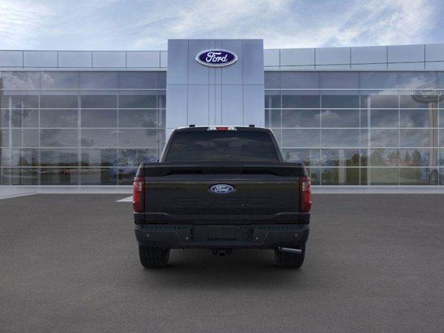 2024 Ford F-150 Vehicle Photo in Boyertown, PA 19512