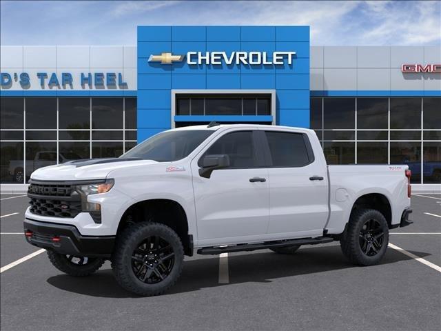 2024 Chevrolet Silverado 1500 Vehicle Photo in ROXBORO, NC 27573-6143