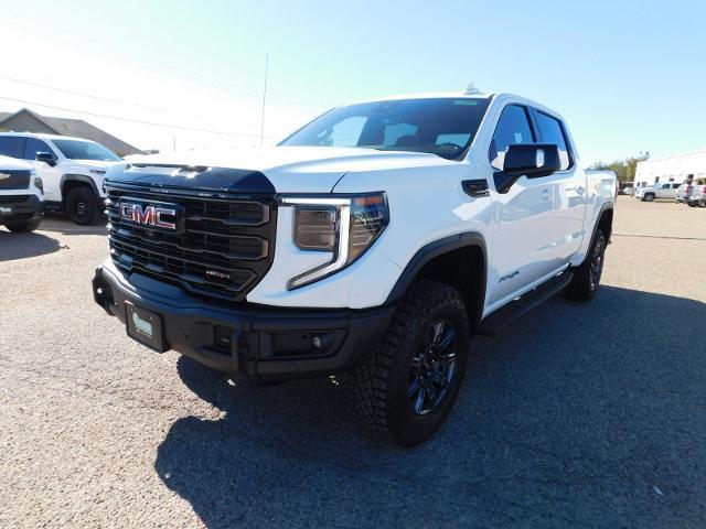 2025 GMC Sierra 1500 Vehicle Photo in GATESVILLE, TX 76528-2745