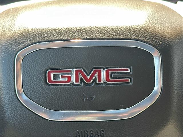 2019 GMC Sierra 1500 Vehicle Photo in DUNN, NC 28334-8900