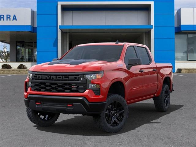 2024 Chevrolet Silverado 1500 Vehicle Photo in GRAND BLANC, MI 48439-8139