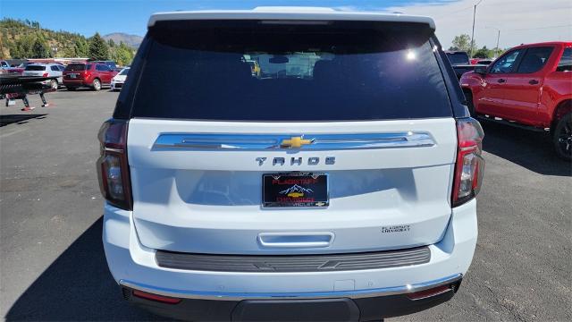 2024 Chevrolet Tahoe Vehicle Photo in FLAGSTAFF, AZ 86001-6214