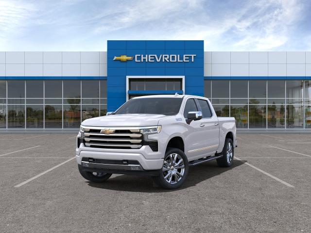 2024 Chevrolet Silverado 1500 Vehicle Photo in HOUSTON, TX 77034-5009