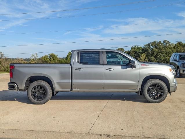 2025 Chevrolet Silverado 1500 Vehicle Photo in POMEROY, OH 45769-1023