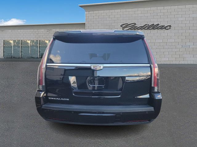 2019 Cadillac Escalade Vehicle Photo in TREVOSE, PA 19053-4984