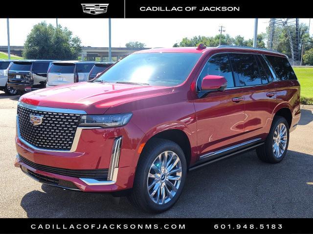 2024 Cadillac Escalade Vehicle Photo in RIDGELAND, MS 39157-4406