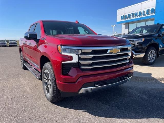 2025 Chevrolet Silverado 1500 Vehicle Photo in GLENWOOD, MN 56334-1123