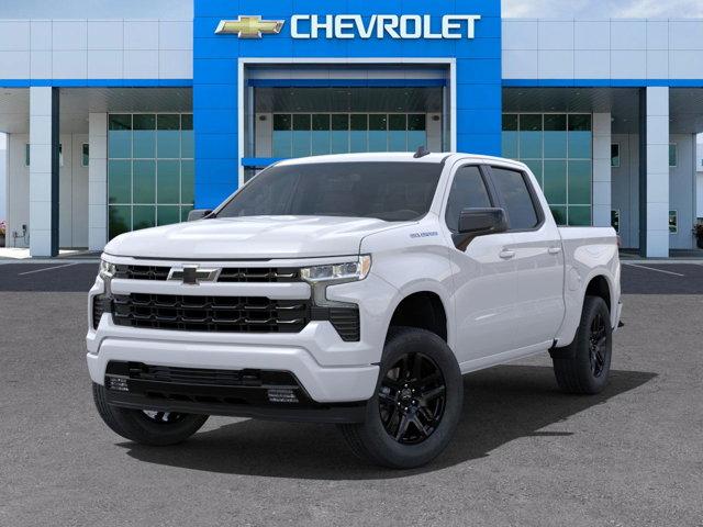 2024 Chevrolet Silverado 1500 Vehicle Photo in SELMA, TX 78154-1460