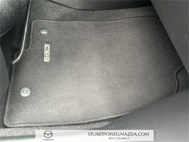 2021 Mazda CX-9 Vehicle Photo in Danville, KY 40422