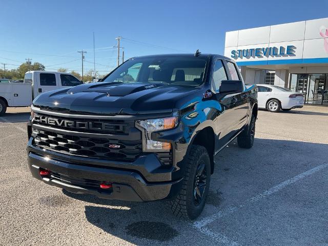 2025 Chevrolet Silverado 1500 Vehicle Photo in PONCA CITY, OK 74601-1036