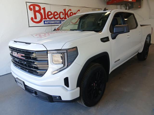 2025 GMC Sierra 1500 Vehicle Photo in RED SPRINGS, NC 28377-1640