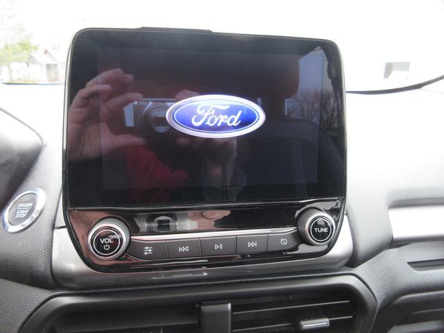 2020 Ford EcoSport Vehicle Photo in ELYRIA, OH 44035-6349