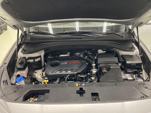 2020 Hyundai Santa Fe Vehicle Photo in ROGERS, MN 55374-9422